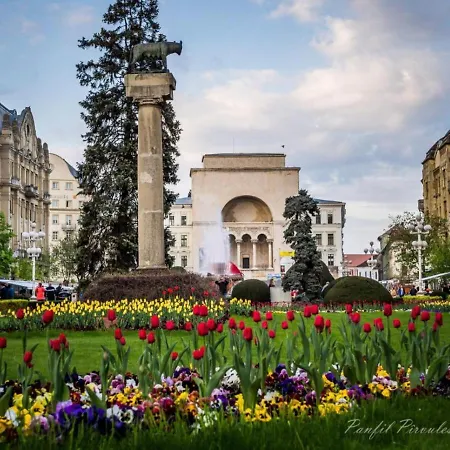 Premium * Timisoara
