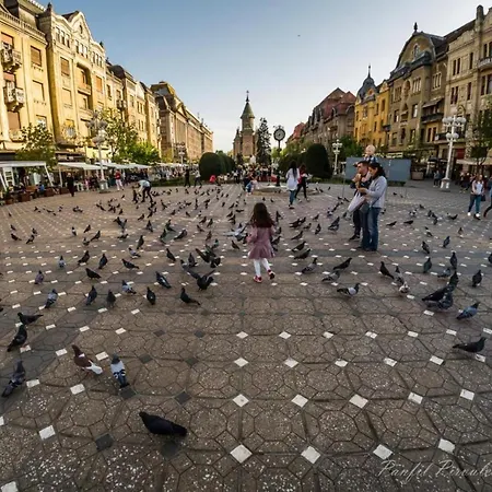 Premium * Τιμισοάρα