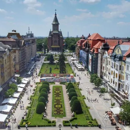 Premium * Timisoara