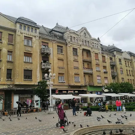 Premium * Timisoara