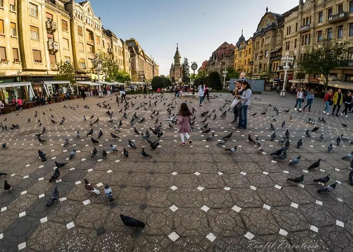 Premium * טימישוארה