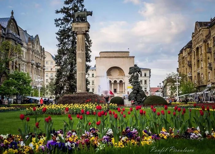 Premium * Timişoara